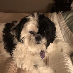 Meet your Posher, Sherry